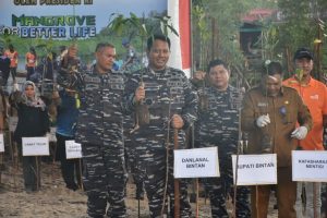 Penanaman Mangrove Nasional, Lanal Bintan Tanam Mangrove di Desa Kuala Sempang