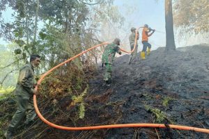 Jumlah Titik Panas di Kalimantan Timur Terpantau Berkurang