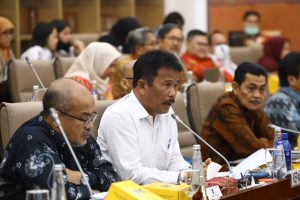 BP Batam Hadiri RDP DPR RI, Bahas Pengembangan Rempang Eco-City