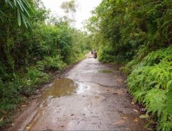 Cen Sui Lan Gesah Pembangunan Jalan Lingkar di Pulau Durai Karimun