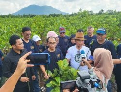  Ricoh Jepang Dukung Aksi PWI Kepri Tanam Mangrove di Pulau Bintan