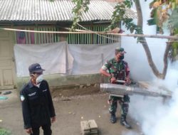 Cegah Dini DBD Sertu Widiono Bersama Dinas Terkait Melaksanakan Fogging