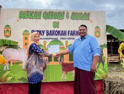 RIZKY BAROKAH FARM Tawarkan Sapi Qurban Berkualitas di Tanjungpinang