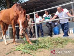 PP Pordasi tinjau cikal bakal arena pacu kuda seluas 14 ha
