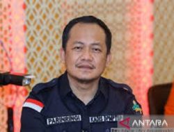 DPM-PTSP Sultra sebut nilai investasi di 2024 tumbuh positif