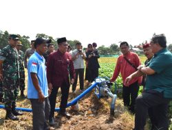 Dandim Cilacap Dampingi Sekjen Kementan RI Tinjau Perluasan Areal Tanam