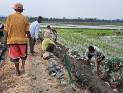 Di Bawah Terik Matahari Anggota Satgas TMMD Kodim Cilacap Semangat Kerjakan Talud