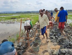 Batu Belah, Bahan Utama dalam Pembuatan Talud Sasaran Fisik TMMD Kodim Cilacap