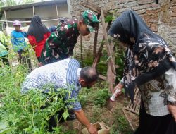 Babinsa Nusawungu Dampingi Pemberantasan Sarang Nyamuk