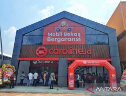 Caroline.id targetkan penjualan 3.600 lebih mobil bekas selama 2024
