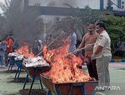 Bea Cukai Langsa sita 5,5 juta batang rokok ilegal sepanjang 2024