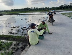 Wartono, Berbahagia dengan Selesai Pembangunan Jalan Rabat Beton melalui Program TMMD