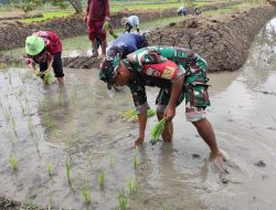 Sinergi Antara Babinsa dan Masyarakat Dalam Memperkuat Ketahanan Pangan