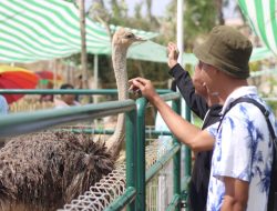 Wisata Kepri: Jelajahi 3 Mini Zoo Menarik di Batam untuk Liburan Keluarga