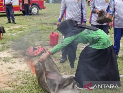 Disdamkar Natuna ajarkan siswa SLB cara mencegah kebakaran