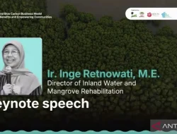 Kemenhut Sebut RPP Mangrove Dukung Peningkatan Kapasitas Komunitas