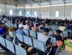 PT PELNI Batam sediakan 700 tiket gratis untuk pemudik akhir tahun