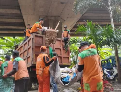 Limbah Lapak Ilegal Kolong Tol Angke Akan diolah Menjadi Pupuk Kompos