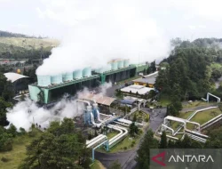 Layanan Listrik Hijau PLN Naik 117 Persen di 2024