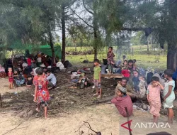 Sebanyak 264 Imigran Etnis Rohingya Mendarat di Aceh Timur