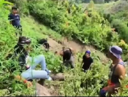 Polda Jambi Dalami Kasus Temuan 17 Batang Ganja di Sungai Penuh