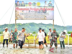 Pemkab Gorontalo Utara Targetkan Tanam Padi Sawah Seluas 14.430 Ha