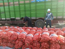 TNI AL Gagalkan Penyelundupan 46 Ton Bawang Bombay