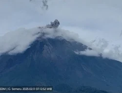 Gunung Semeru Erupsi dengan Tinggi Letusan 700 Meter diatas Puncak