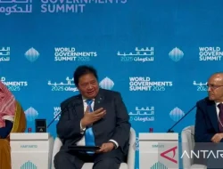 Airlangga Dorong Kolaborasi Inovatif dalam Pembangunan Ekonomi Dunia