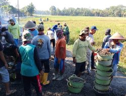 Setiap Butir Batu Split Tersimpan Doa dan Asa Yang Selama Ini Dinanti