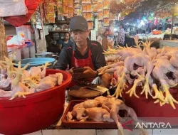 Harga Pangan: Daging Ayam Rp34.243/Kg, Cabai Rawit Merah Rp62.114/Kg