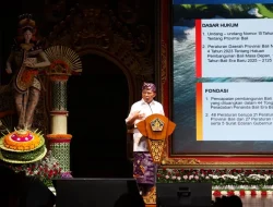 Pemprov Bali Galakkan PLTS Atap Hadapi Keterbatasan Cadangan Listrik