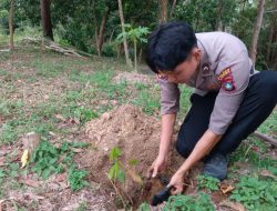 Ketika Polisi Bicara Lewat Akar dan Daun