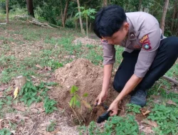 Polres Lingga Lestarikan Lingkungan Tanam 250 Pohon Jengkol