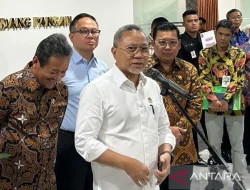 Menko Pangan Zulkifli Hasan Tambah Kuota Impor Sapi Bakalan Jadi 534 Ribu Ekor untuk Tingkatkan Produksi Daging
