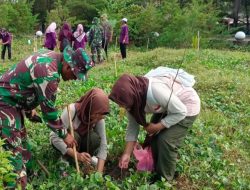 Peringati Hari Lingkungan Hidup Sedunia, Danramil 08/Adipala Tumbuhkan Kesadaran Masyarakat