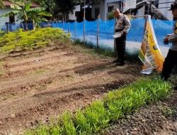 Ketahanan Pangan Batam Diperkuat Lewat Panen Sayur oleh Polsek Bulang