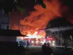 Penyebab Desa Air Cargo Terbakar Usai Musnahkan 4 Ton Sabu, Dugaan Sabotase Menyentil
