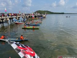 Sampan Ketinting Kembali Menggebrak Batam, Tradisi Bahari yang Menyatukan Warga Pesisir