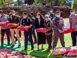 Puluhan Ton Bawang Merah Dimusnahkan dengan Cara Dikubur Hidup-Hidup