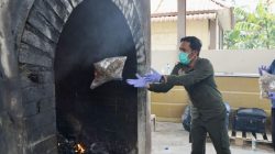 Karantina Kepri memusnahkan ribuan komoditas ilegal pembawa penyakit hewan dan ikan di Batam. Langkah tegas ini menjadi bukti komitmen menjaga sumber daya hayati dan memperkuat pengawasan di wilayah perbatasan.
