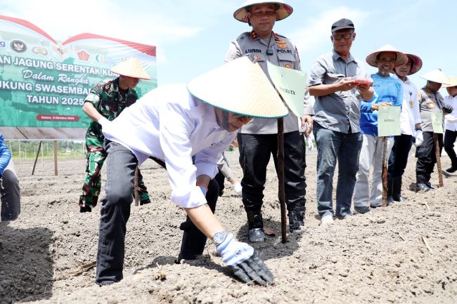 Kegiatan penanaman jagung serentak di Batam menjadi langkah konkret memperkuat ketahanan pangan nasional. Wali Kota Batam Amsakar Achmad dan Kapolda Kepri Irjen Asep Safruddin menegaskan pentingnya sinergi lintas sektor demi terwujudnya kemandirian pangan dan kesejahteraan masyarakat.
