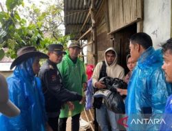 Ribuan hektare lahan pertanian warga Kabupaten Solok terendam banjir
