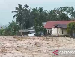 Kerugian akibat banjir di Padang Pariaman capai Rp268,5 miliar