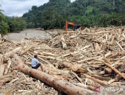 Kemenhut soroti potensi kayu banjir dari kayu ilegal dan pembalakan