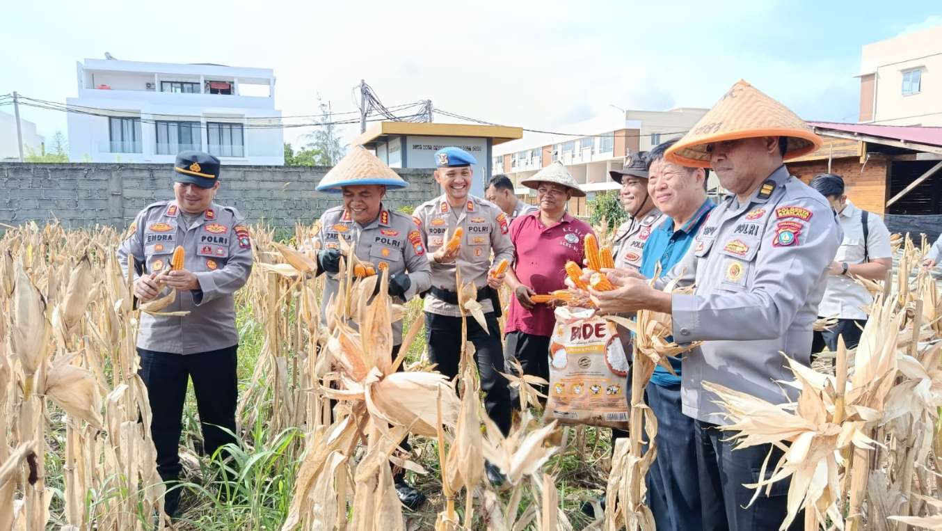 Kapolresta Barelang Pimpin Panen Raya Jagung