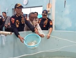 Bea Cukai Gagalkan Penyelundupan Ribuan Benih Lobster Senilai Rp13 Miliar di Perairan Lingga
