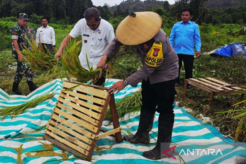 Penyuluh Pertanian Natuna resmi menjadi ASN Kementerian Pertanian. Kebijakan ini memperkuat swasembada pangan dan ketahanan wilayah perbatasan.