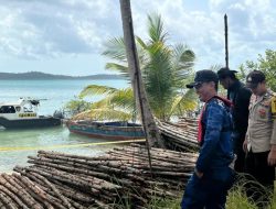 Polres Lingga cegah penyelundupan 8.000 batang pohon bakau