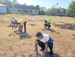 Polres Lingga tanam 200 bibit pohon pisang dukung ketahanan pangan